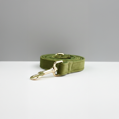 Green dog leash with gold clasp on a white surface