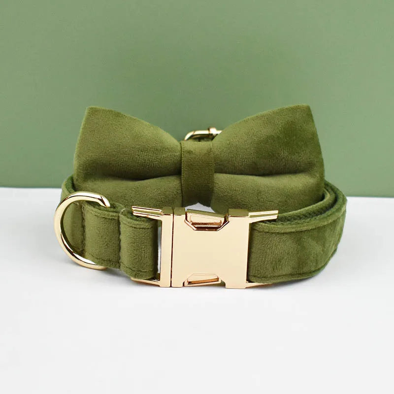 Green dog collar with a bow and gold hardware on a white surface with a green background