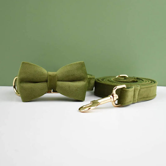 Green bow tie and matching leash on a white surface with a green background