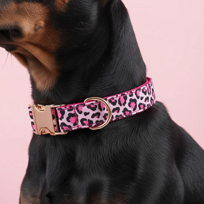 Dog wearing a pink leopard print collar on a pink background