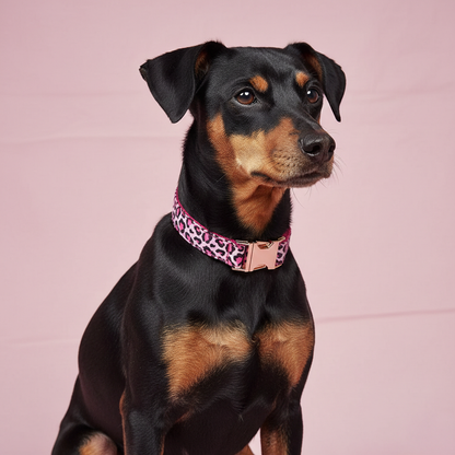 Dog wearing a pink collar with a leopard print pattern on a pink background