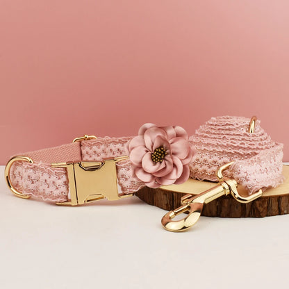 Pink lace dog collar with floral design and gold hardware on a pink background