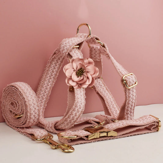 Pink dog harness and leash set with floral design on a pink background