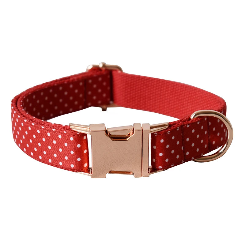Red dog collar with white polka dots and rose gold buckle on a white background