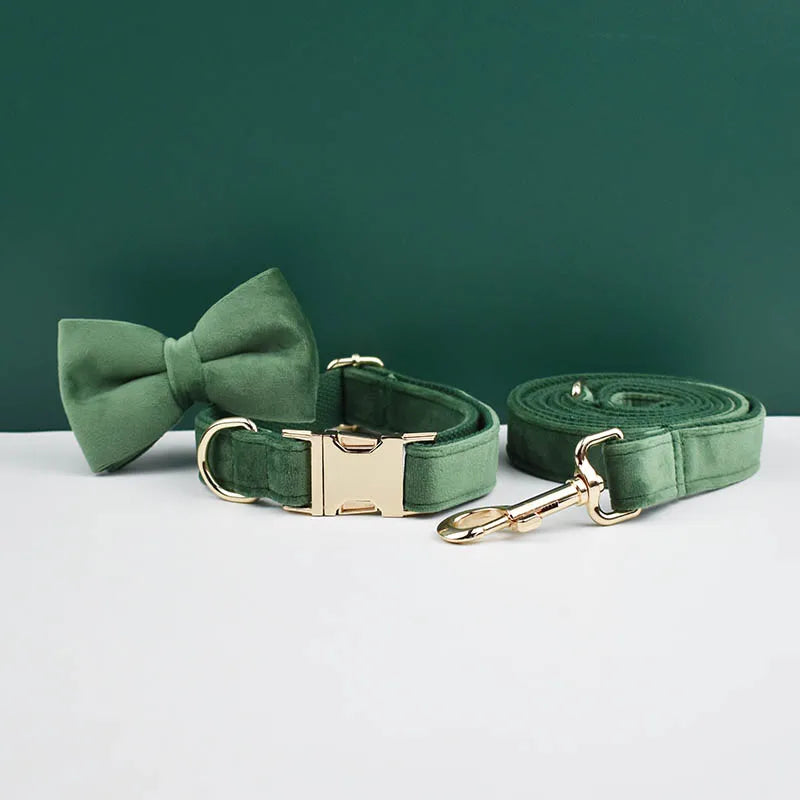 Green dog collar, bow tie, and leash set on a white surface with a green background