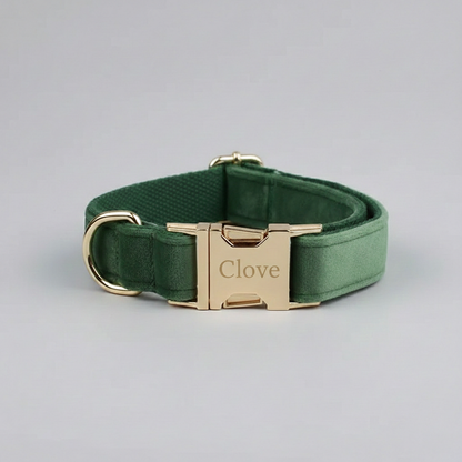Green dog collar with gold buckle on a gray background
