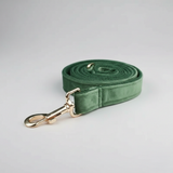 Green dog leash with gold clasp on a light gray background