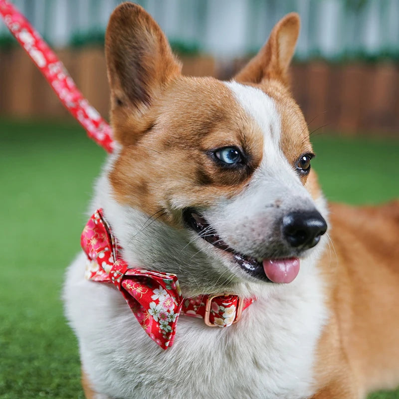 Dog wearing a red floral bow tie on a grassy field