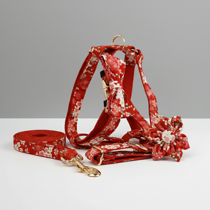 Red floral-patterned dog harness and leash set on a gray background