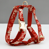 Red floral-patterned dog harness with gold hardware on a white surface.