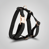 Starry Tux Harness