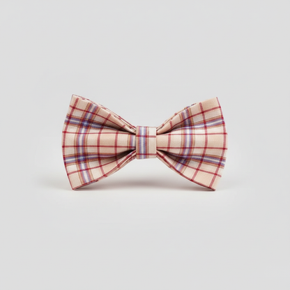 Plaid bow tie on a light gray background