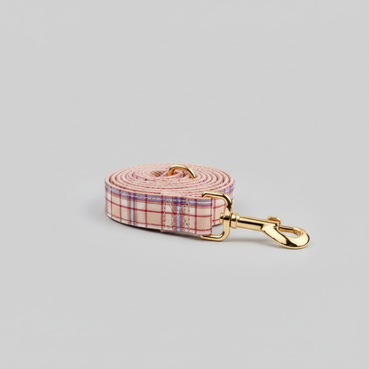 Plaid dog leash with gold clip on a light gray background