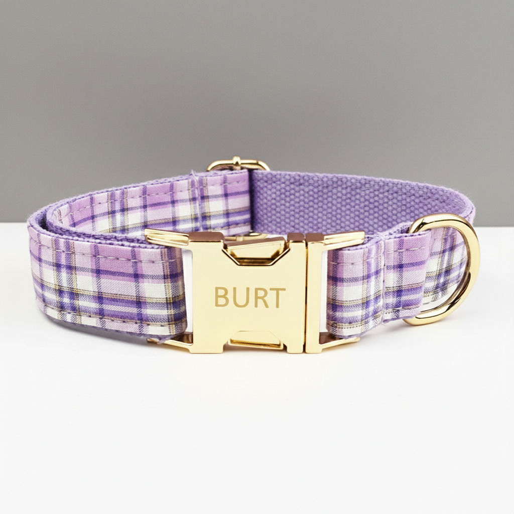 Dog collar with purple plaid pattern and gold buckle on a gray background