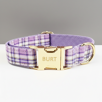 Dog collar with purple plaid pattern and gold buckle on a gray background