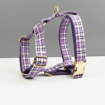 Purple plaid dog harness with gold hardware on a gray background