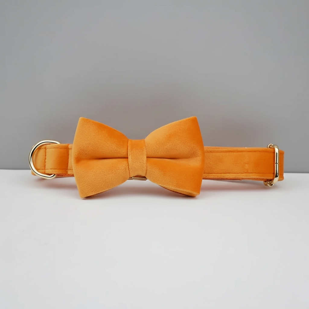 Orange velvet bow tie and collar set on a light gray background