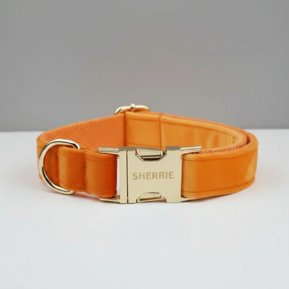 Orange dog collar with gold hardware on a gray background