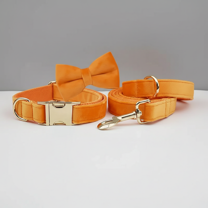 Orange dog collar, leash, and bow tie set on a gray background
