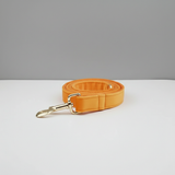 Orange dog leash with gold clasp on a white surface