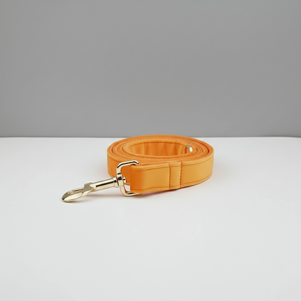 Orange dog leash with gold clasp on a white surface