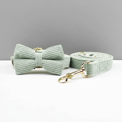 Light green dog leash, bow, and collar with gold hardware on a white surface and gray background