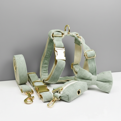 Mint green dog harness, collar, leash, waste bag holder, and bow tie set with gold hardware on a gray background