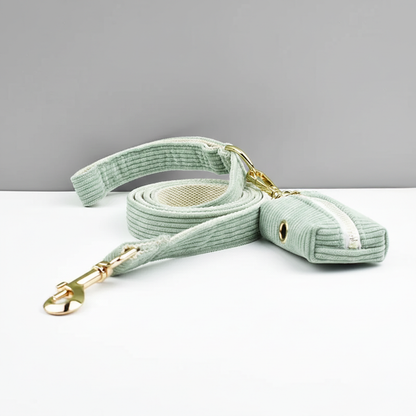 Light green dog leash and waste bag holder with gold hardware on a white surface and gray background