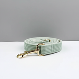 Light green dog leash with gold hardware on a white surface and gray background