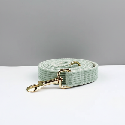 Light green dog leash with gold hardware on a white surface and gray background