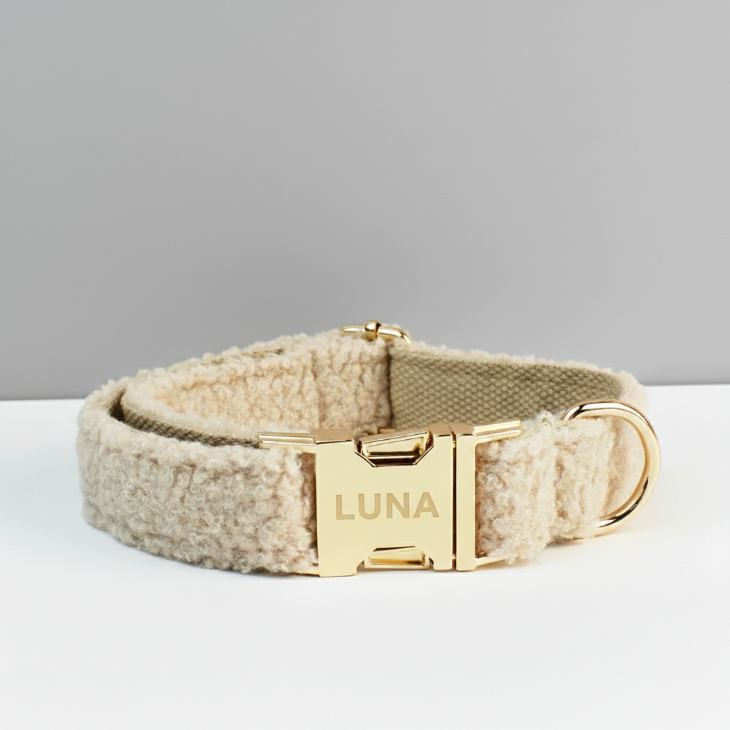 Beige dog collar with a gold buckle on a light gray background