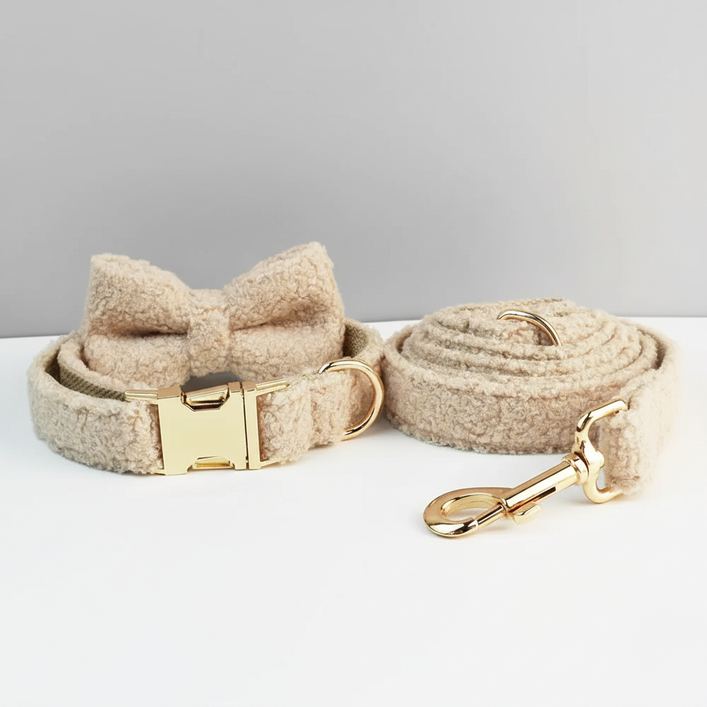 Dog collar with bow and matching leash on a light gray background