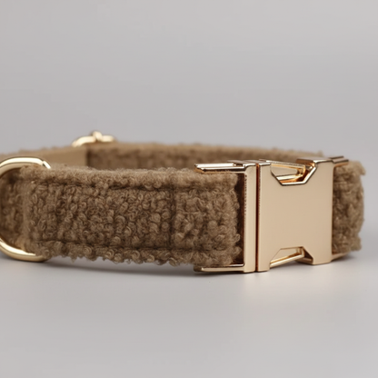 Brown textured dog collar with gold buckle on a light gray background