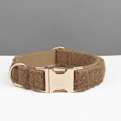 Brown dog collar with gold buckle on a white surface