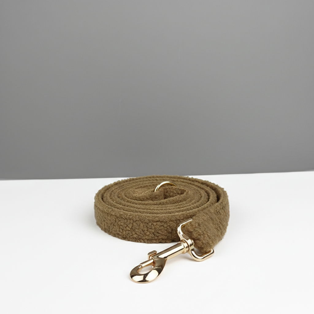Brown dog leash with gold clasp on a white surface