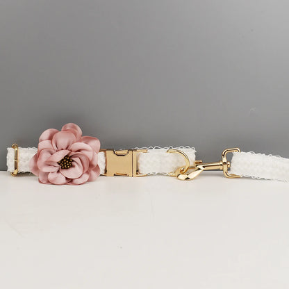 Dog collar with a pink flower and gold clasp on a gray background