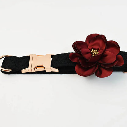 Black dog collar with a red flower and gold buckle on a white background