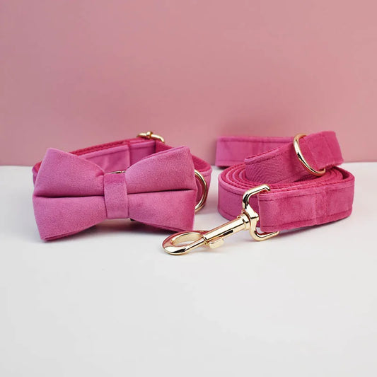 Pink dog bow tie and leash set with gold hardware on a pink background