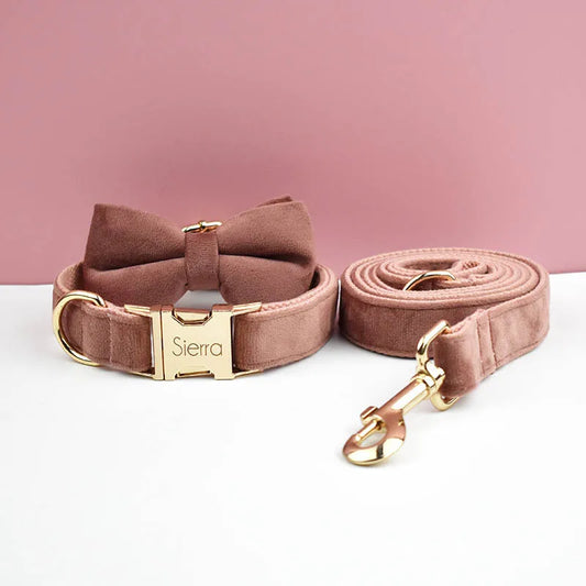 Dog collar and leash set with 'Sierra' branding on a pink background