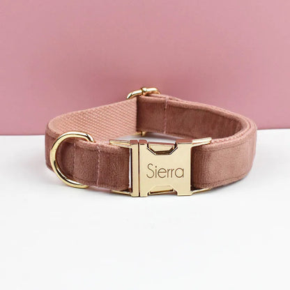 Pink dog collar with gold buckle and 'Sierra' engraving on a pink background
