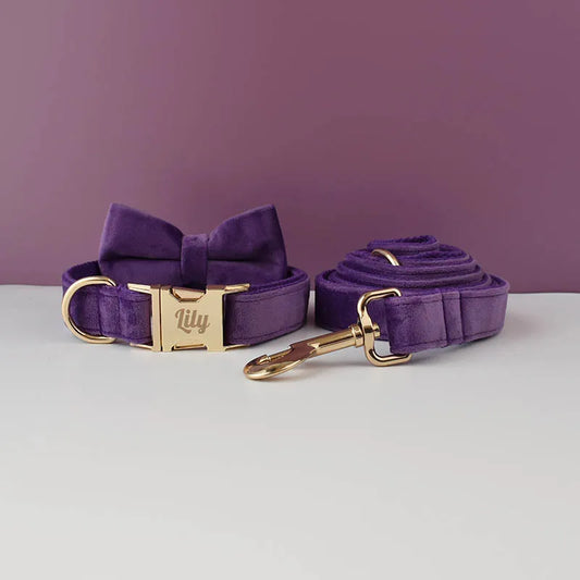 Purple dog collar and leash set with gold hardware on a light gray surface against a purple background