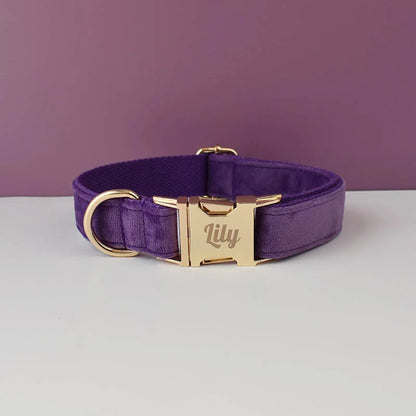 Purple dog collar with gold buckle and 'Lily' engraving on a purple background
