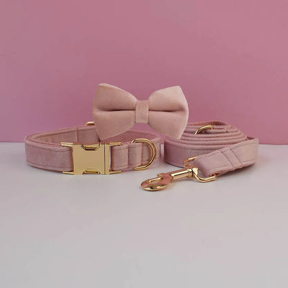 Pink dog collar with bow tie and matching leash on a pink background
