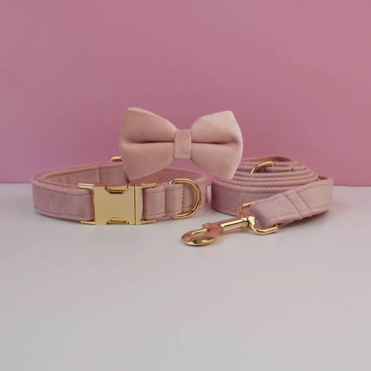 Pink dog collar with bow tie and matching leash on a pink background