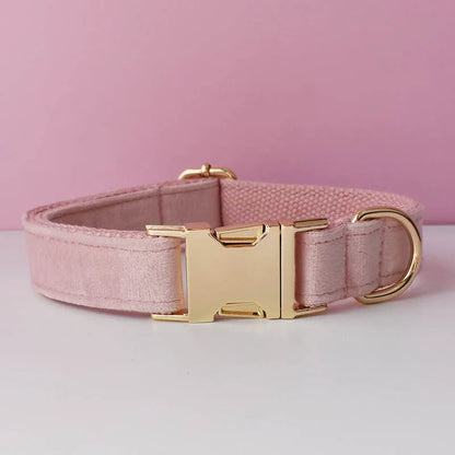 Pink dog collar with gold buckle on a pink background