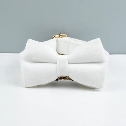 White bow tie with gold accents on a white background