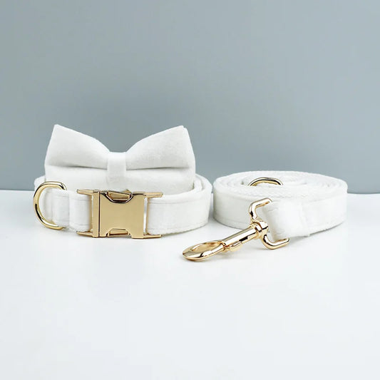 White dog collar with gold hardware on a light gray background