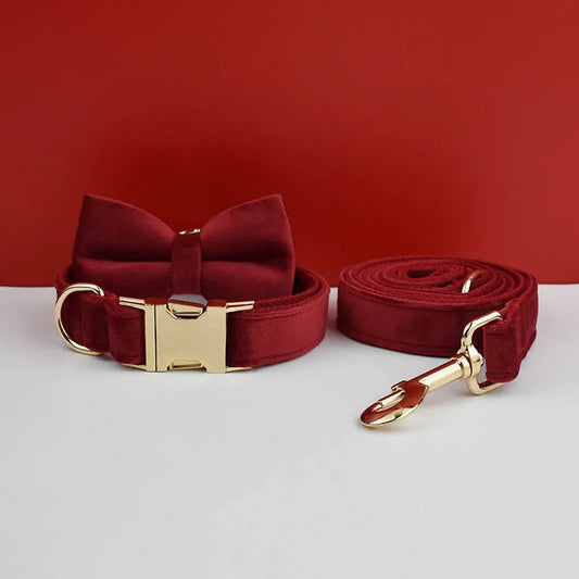 Red dog collar and leash set with gold hardware on a white surface against a red background