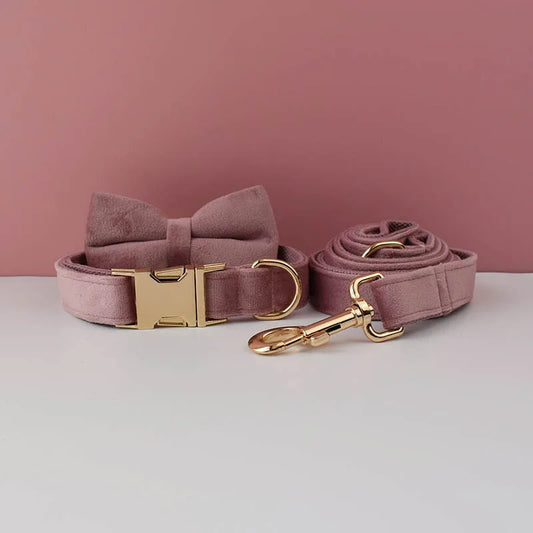 Pink dog collar with gold hardware on a pink background