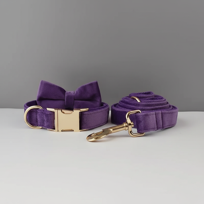 Purple dog collar and leash set with gold hardware on a gray background